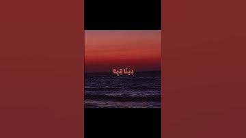 قل اني هدييني ربي إلى الصراط المستقيم ✨سوره الانعام بصوت القارئ ماهر المعيقلي