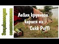 Незапланированная ловля крупного карася на Cukk Puffi