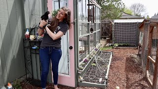 Growing Where You Are Planted (Micro Homestead) + Making it work in a TINY backyard W/ Cold Climate