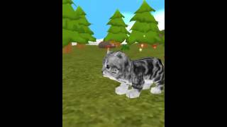 Hey, check out my Talking Kitty!  #cat #kitty #kitten screenshot 5