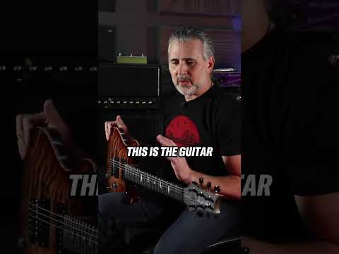 How the PRS Wood Library made its way into DAMAGE GUITARS