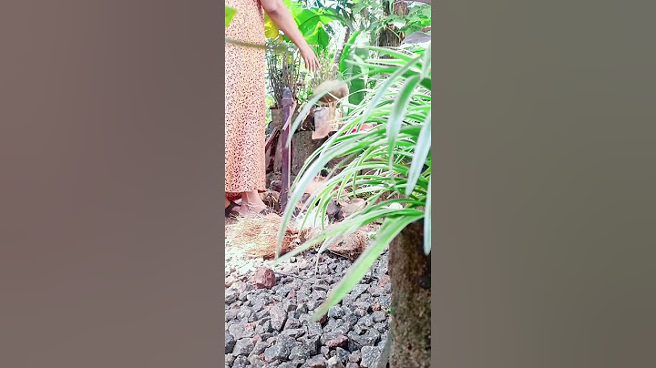 നിങ്ങളും സ്വന്തം വീട്ടിൽ പോയാൽ ഇതുപോലെ ഒക്കെ  കൊണ്ടാവാറുണ്ടോ😛#shortsvideo