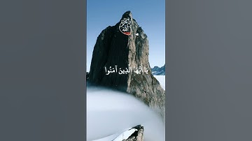 تلاوة خاشعة تهدئ القلب | استمع بخشوع #القرآن_الكريم #تلاوة_خاشعة #راحة_نفسية