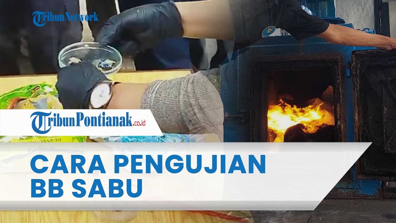 Cara Pengujian Barang Bukti Sabu di BNN Kalbar