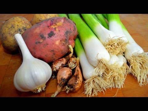 Potato Leek Soup from Garden Fresh Vegetables