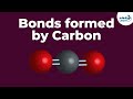 Bonds formed by Carbon | Don't Memorise