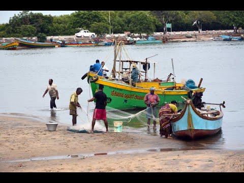 Kerala launches e database showing fish landing centres’ proximity to COVID hotspots