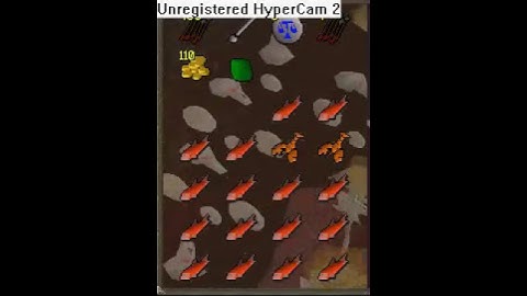 RAREST DROP OF ALL RUNESCAPE TIME!!!!!!!!!!!!!!!!!!!