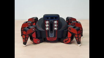 "Capture": a fully intelligent hexapod robot