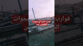 قوارب صيد الأسماك في محوات الحديدة | مشروع ثروة #اليمن #السعودية #shorts