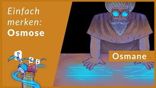 Osmose Leicht Erklärt Eselsbrücken Für Physiologie