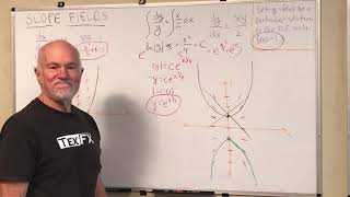 #53 Calculus: Slope Fields