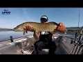 Lipno Fishing Boats - Promo Video 2020