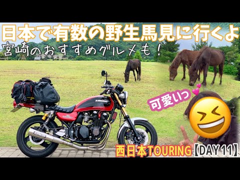 天然日本鹿　ラグ　地走りマダラ Amazon | 赤い鹿の皮の敷物、鹿の皮の敷物、鹿の剥製暖炉、鹿革
