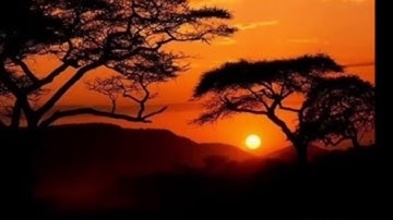 صوت يبكي الحجر ... الشيخ خالد الجليل اجمل قراءة للقران الكريم