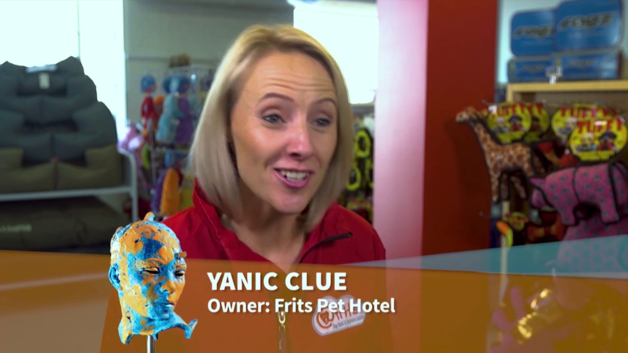 Pet Friendly Travel options YouTube