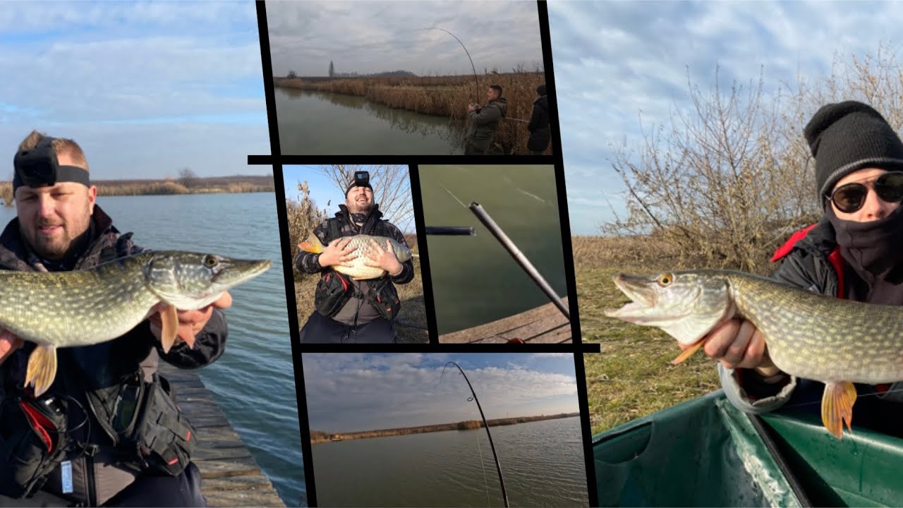 Pergetés Pozsáron, 30+kg feletti hal a horgon🫣🔥 Csuka✅ Süllő✅😎