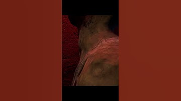 #shorts Hungry Zombies