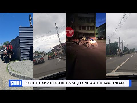 Căruțele ar putea fi interzise și confiscate în Târgu Neamț3