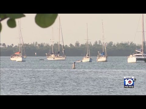 Girl dies during boat collision off Key Biscayne