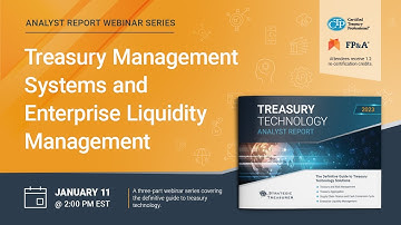 Treasury & Risk Management Systems