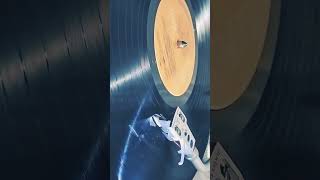 Mule Skinner - Against