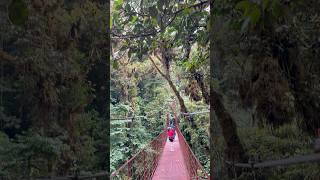Découverte du Costa Rica , Monteverde , cloud Forest #costarica #voyage #monteverde #cloudforest