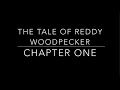 The Tale of the Redheaded Woodpecker Quiz