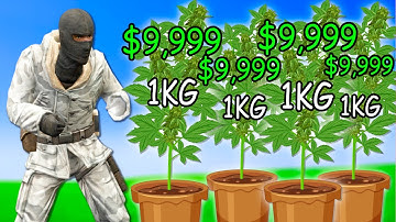 I Grew SPEED SEEDS To get LOTS of CASH on Gmod DarkRP EP 2