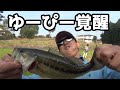 誰でも釣れる！夢の島行って来た　＃４　【初心者でも入れ食い】