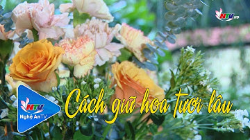 Cách giữ hoa tươi lâu | Thường thức cuộc sống