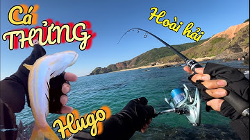 Câu lure cá thửng cá mối bờ biển toàn hugo gành Hoài Hải, Hoài Nhơn, Bình Định | beach fishing lure