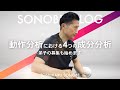 【弟子募集】動作分析における４つの成分分析（SONOBE VLOG）