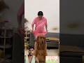 Mom And Dog Masti 萌宠出道计划 记录真实生活 夫妻 Funny Goldenretreivers Dog Animals Mom And Dog Masti 萌宠出道计划 记录真实生活 夫妻 Funny Goldenretreivers Dog Animals