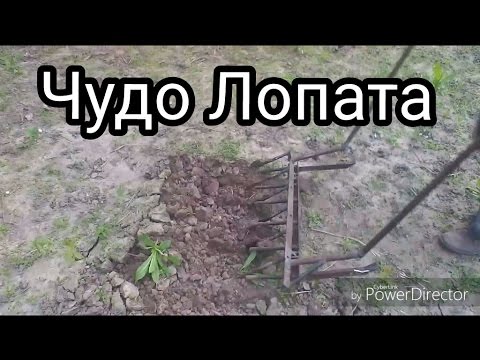 Видео: Как да направим чудо