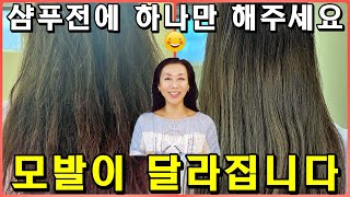 샴푸하기 10분전!! 딱 하나만 해주세요. 빠짐도, 머릿결도 완전히 달라집니다. 비용 없음!