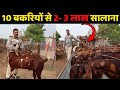 ऐसी मात्र 10 बकरियों से 2 लाख की कमाई सालाना || How to run a successful Goat farm || Harish Yadav