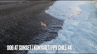 Dog at Sunset | Konyaaltı Beach FPV Chill Flight in 4K screenshot 2