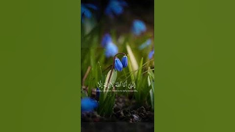 قران كريم بصوت جميل لا إله إلا الله