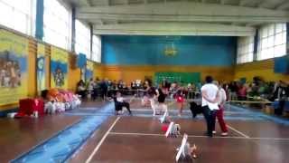 VID 20150628 1434401
