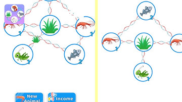 Food Web Merge - New Release - Hyper Hybrid Casual - Gameplay Walkthrough (iOS & Android)