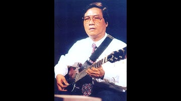 Danh Cầm Nhạc Sĩ Văn Giỏi - Đàn 6 Câu Vọng Cổ Dây Tứ Nguyệt