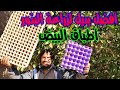 زراعة بذور الفاكهة في أطباق البيض بدلا من الصواني ووفر فلوسك وشتلات ببلاش في البيت زراعة بذور الفاكهة في أطباق البيض بدلا من الصواني ووفر فلوسك وشتلات ببلاش في البيت
