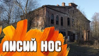 картинка: Лисий Нос / Ленинградская область