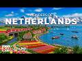Wonders of Netherlands – Discover Canals, Tulip Fields, and Timeless Beauty | Travel Video 4K