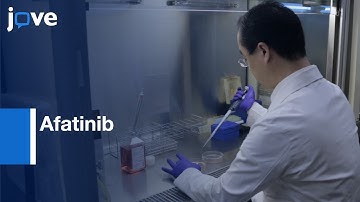 Afatinib-resistant Adenocarcinoma Cell Lines Characterization | Protocol Preview