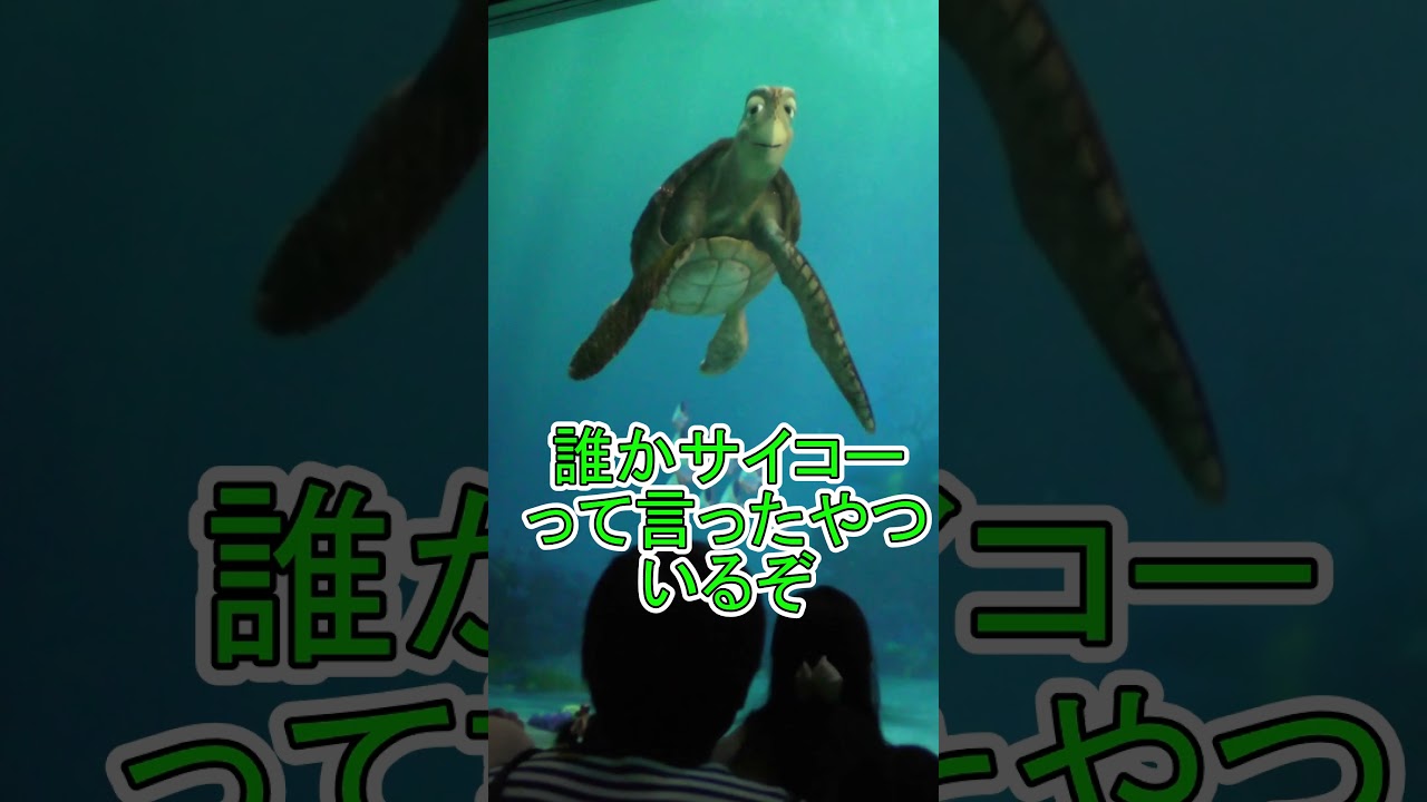 違う挨拶を聞き逃さないクラッシュ【タートルトーク】東京ディズニーシー
