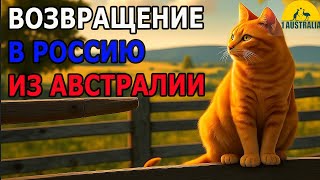 RETURN TO RUSSIA FROM AUSTRALIA. [#1Australia]#6195 #immigration #emigration #livinginaustralia #usa