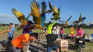 macawflyersph good vibes all the way