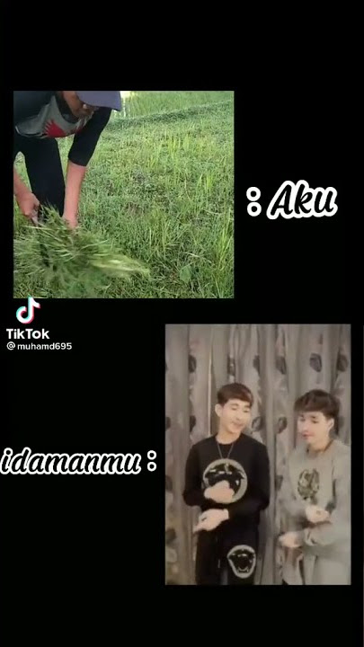 story wa aku vs idamanmu